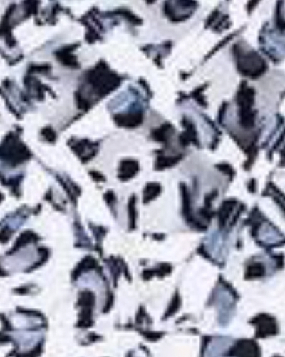 ابر و بادی پلنگی